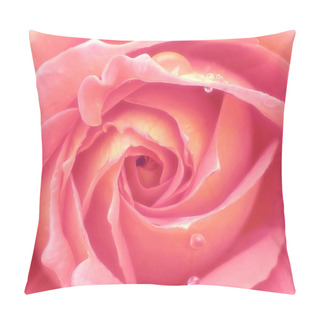 Personality  Pink Rose Close Up Pillow Covers