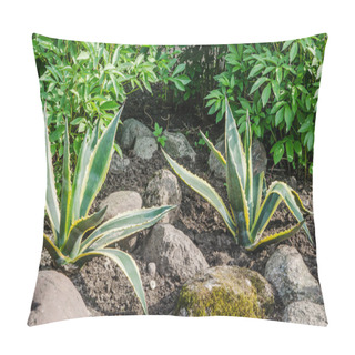 Personality  Decorative Flower Bed In A Garden With Rocks And Plants, Close-u Pillow Covers