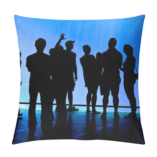 Personality  Crowd Studying The Seal Tank At The Melbourne Zoo Pillow Covers