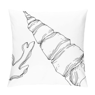 Personality  Summer Beach Seashell Tropical Elements. Black And White Engraved Ink Art. Isolated Shells Illustration Element. Pillow Covers