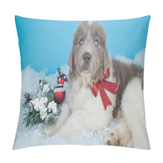 Personality  Cute Newfoundland Puppy Pillow Covers