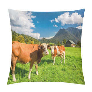 Personality  Cows On Pasture In The Alps Pillow Covers