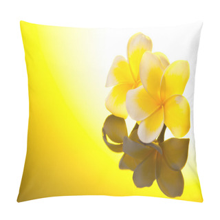 Personality  Two Yellow Leelawadee Flowers Under Sunshine Pillow Covers