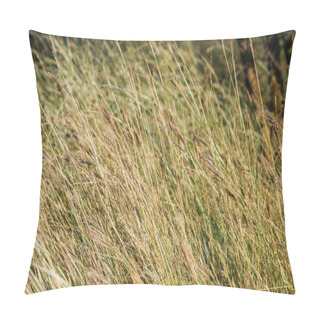 Personality  Yellow Plants In Autumnal Field During Windy Weather Pillow Covers