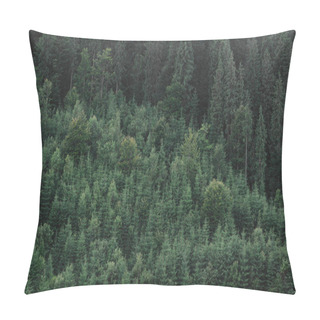 Personality  Summer Green Fir Forest Landscape Aerial View Photo. Wonderful Shot Of Coniferous Forest Panorama. Magnificent Woodland Pattern Picture. Breathtaking Spring Fir Woods Scenery. Copy Space. Pillow Covers