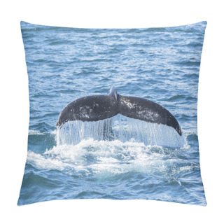 Personality  Detail Of Humpback Fin Tail, Iceland Pillow Covers