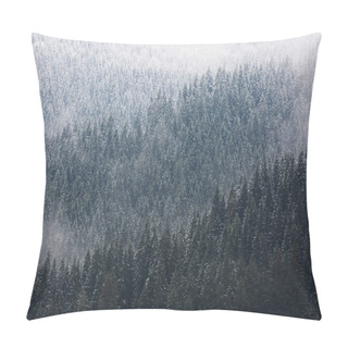 Personality  Amazing Fogy Forest In Germany. Pillow Covers