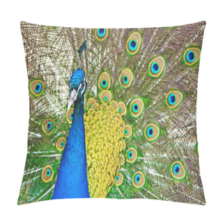 Personality  Beautiful Peacock Showing Feathers Pillow Covers