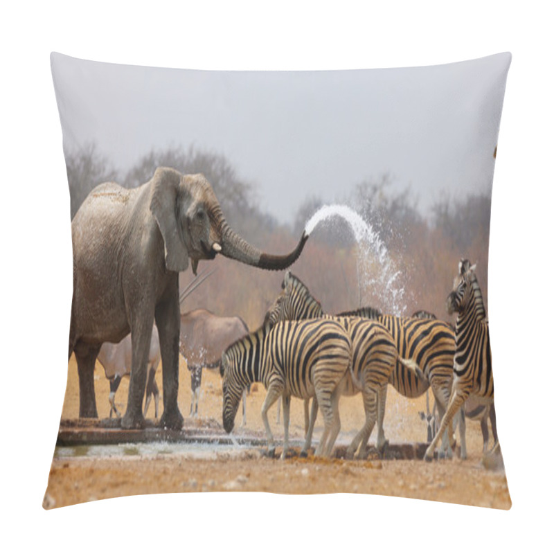 Personality  Animal Humour Pillow Covers