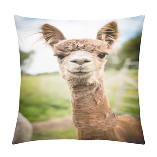 Personality  Portrait Of A Brown Alpaca Pillow Covers