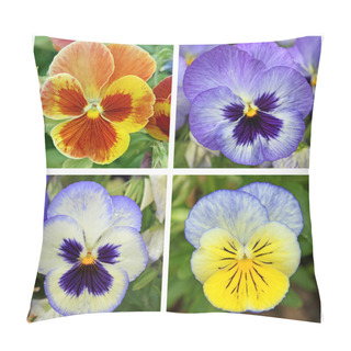 Personality  Collage With 4 Pansy Flowers Pillow Covers