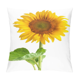 Personality  The Beautiful Sunflower Pillow Covers