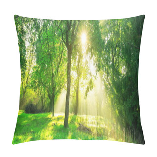 Personality  Green Forest Background With Morning Sunrise In Spring Season. Nature Landscape. Pillow Covers