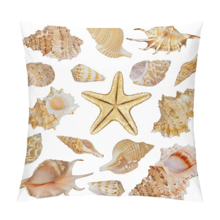 Personality  Seashells And Starfish Pillow Covers
