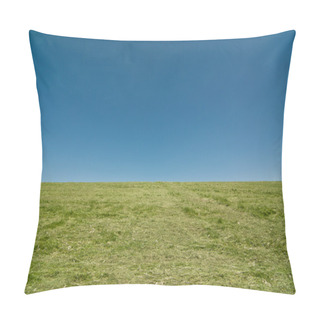 Personality  Grassy Hill With Blue Sky Pillow Covers