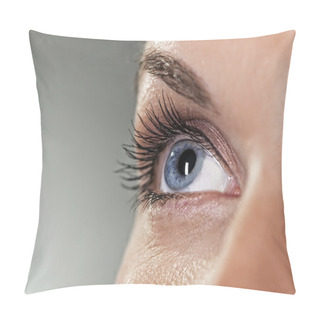 Personality  Blue Eye On Grey Background (shallow DoF) Pillow Covers