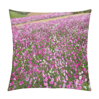 Personality  Pink Cosmos Flowers Field Pillow Covers