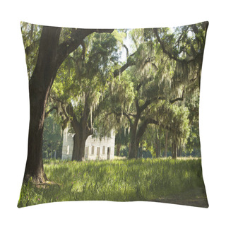 Personality  Live Oaks And Ruins In The American Deep South Pillow Covers