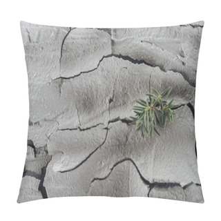 Personality  Young Green Plants On Cracked Land Surface, Global Warming Concept Pillow Covers