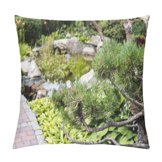 Personality  Selective Focus Of Green Pine Tree Near Walkway In Park  Pillow Covers