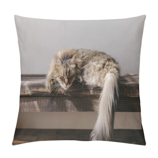 Personality  Cute Tabby Cat Sleeping On Wooden Bench. Adorable Cat Relaxing In Sunny Room. Tranquility And Peace Concept. Pet At Home. Animal Banner Pillow Covers