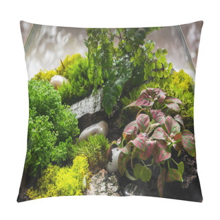 Personality  Ecosystem Forest In Jar. Modern Interior Decor Pillow Covers