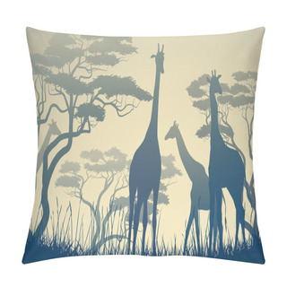 Personality  Horizontal Illustration Of Wild Giraffes In African Savanna. Pillow Covers