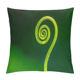 Personality  Tendrils Of Plants By Taking Very Close Up Shots Pillow Covers