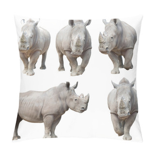 Personality  White Rhinoceros, Square-lipped Rhinoceros Isolated  Pillow Covers