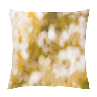 Personality  Natural Bokeh Background Pillow Covers