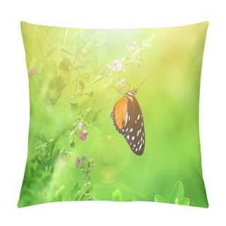 Personality  Vintage Photo Of Butterfly And Flower  Pillow Covers