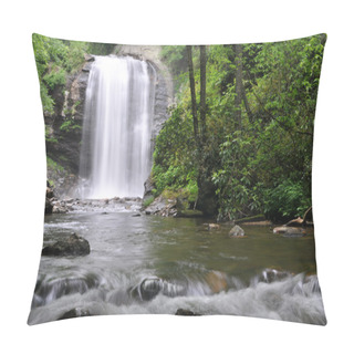 Personality  Looking Glass Falls Waterfall In Western North Carolina. Pillow Covers