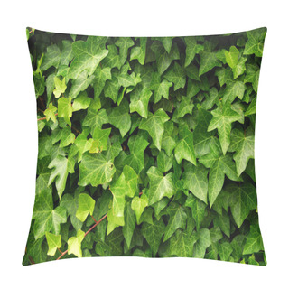 Personality  Abstract Background Of Lush Green Ivy Leaves Pillow Covers
