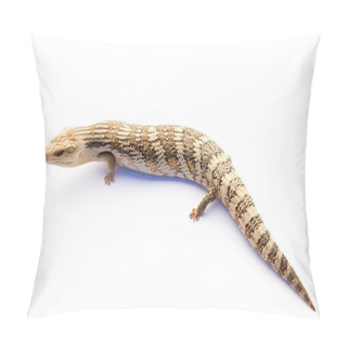 Personality  Australian Blue Tongue Lizard On White Background Pillow Covers
