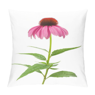 Personality  Purple Coneflower Pillow Covers