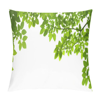Personality  Panoramic Green Leaves On White Background Pillow Covers