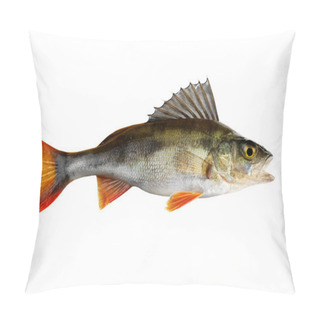 Personality  Perch, Whole Fish, Isolated On White Pillow Covers