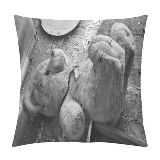 Personality  Hibernation Time Pillow Covers