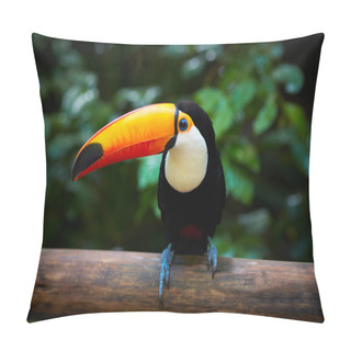 Personality  Toucan On The Branch In Tropical Forest Of Brazil Pillow Covers