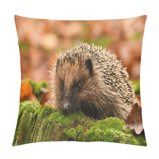 Personality  Hedgehog In Autumn Forest Pillow Covers