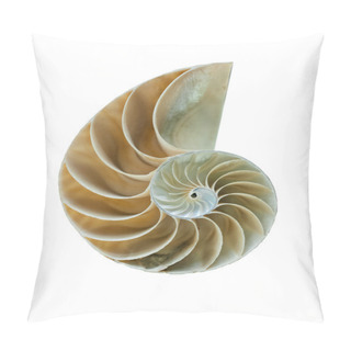 Personality  Nautilus Shell - Great Detailed Shot Pillow Covers