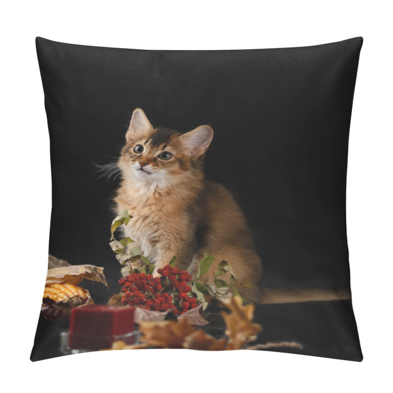 Personality  Cute Somali Kitten On Black Pillow Covers