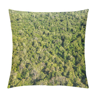 Personality  Aerial View Of Tropical Forest Pillow Covers