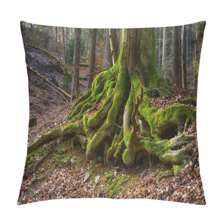 Personality  Surreal Fairy Tale Fine Art Spooky Fantasy Color Outdoor Image Of Gigantic Roots Of An Old Tree, Covered With Moss, Foliage, Magic Mysterious / Fairy Tale Forest - Fantastic Realism In Nature Pillow Covers