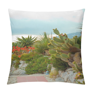 Personality  Cactus Garden In Town Of Eze Pillow Covers