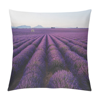 Personality  Blooming Pillow Covers