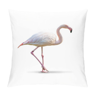 Personality  Flamingo - White Background Pillow Covers