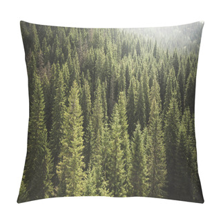 Personality  Aerial View On Green Pine Tree Forest On Summer Morning, Natural Background Pillow Covers