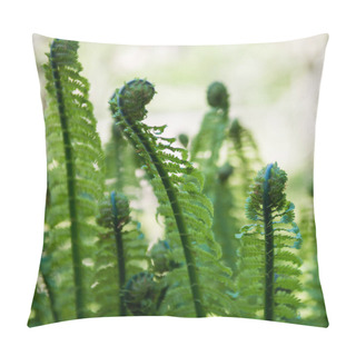 Personality  Closeup Pillow Covers