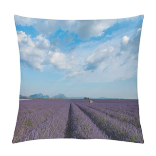 Personality  Tranquil Rural Scene With Blooming Lavender Field And Mountains In Provence, France Pillow Covers